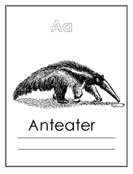 anteater coloring page