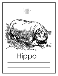free printable hippo colouring page