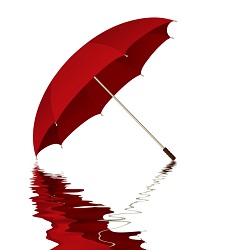 Rain Gauge Activity