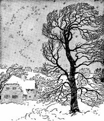 Winter scene