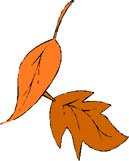 Fall leaf clipart