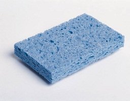 Sponge