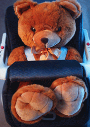 Teddy in car seat