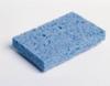 Sponge