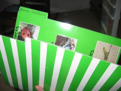 File Folder