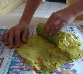sea anemone craft