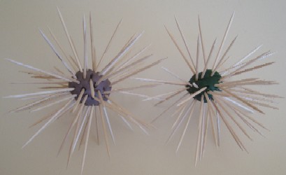 sea urchin craft